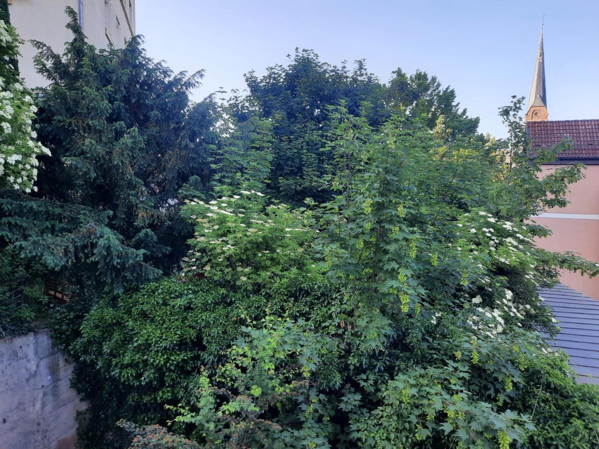 City Suite Gablenberg Estugarda Exterior foto